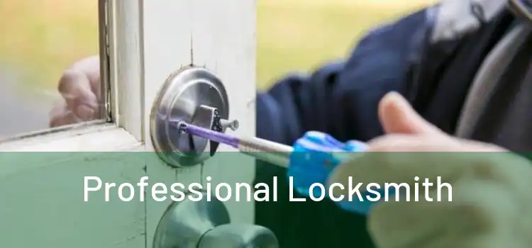  Professional Locksmith 